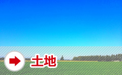 土地
